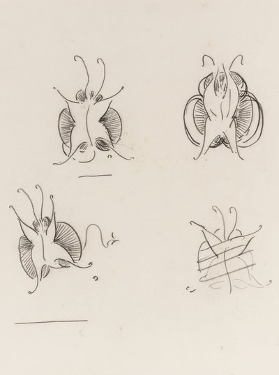 Three Whistler Butterflies and one destroyed sketch, c.1890 by James Abbott McNeill Whistler
